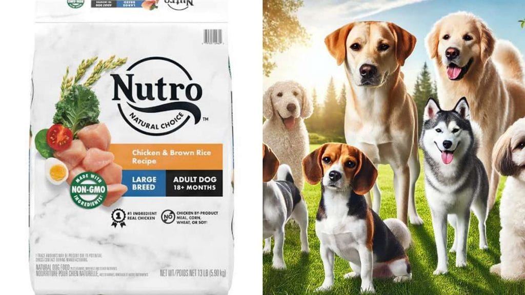 Is Nutro a Good Dog Food? My Honest Review as a Dog Parent